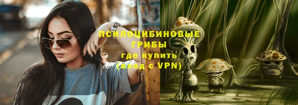 СК Аркадак